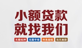 深圳深汕特别合作区小额短借-深圳深汕特别合作区私人借贷平台-深圳深汕特别合作区个人借钱